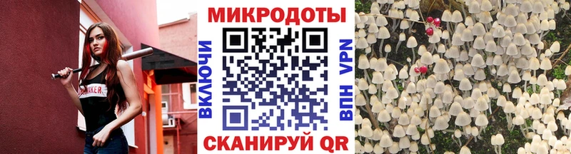 Галлюциногенные грибы Psilocybe  Купить закладки  Спасск-Дальний 